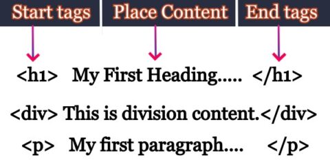 HTML Elements - Netzole
